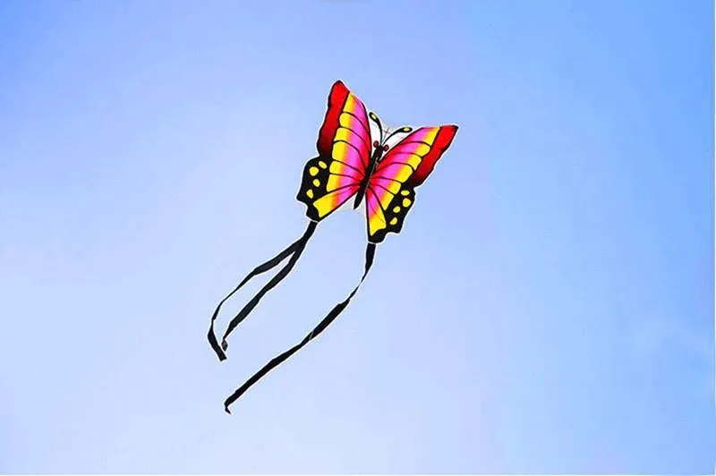 Big Colorful Butterfly Kite For Kids And Adults Outdoor Sports