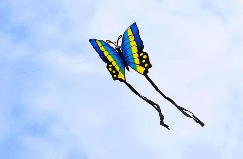 Big Colorful Butterfly Kite For Kids And Adults Outdoor Sports