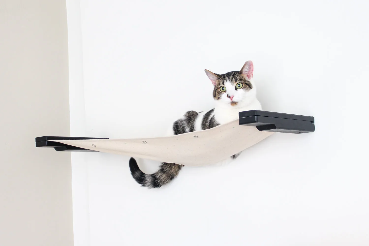 Cat Wall Hammock - Hanging Cat Beds