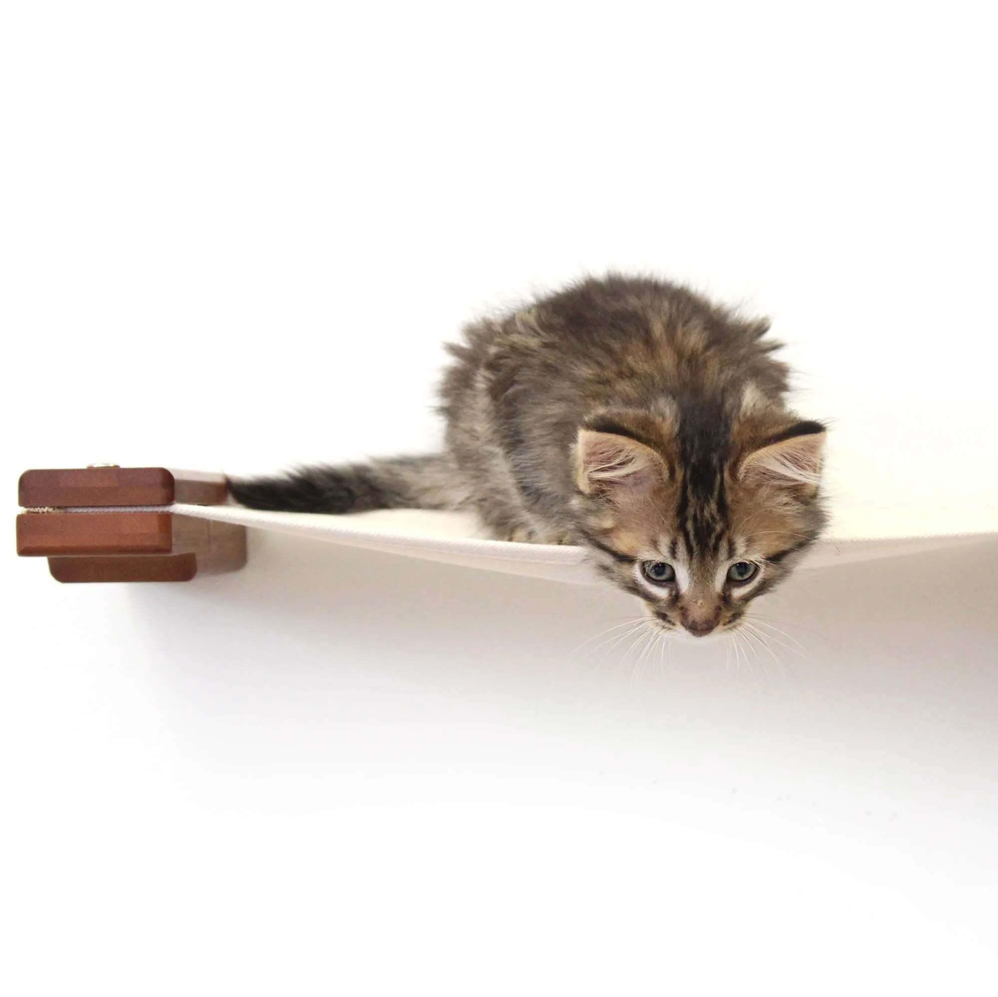 Cat Wall Hammock - Hanging Cat Beds