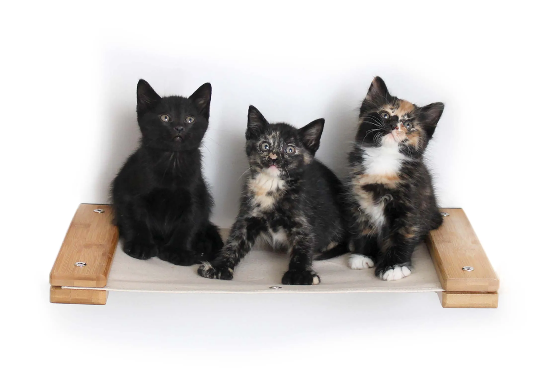 Cat Wall Hammock - Hanging Cat Beds