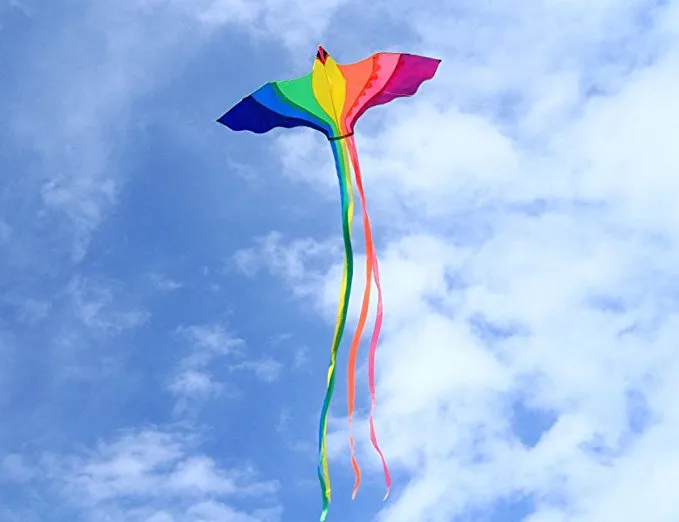 hot sale Phoenix Kites 74-Inch